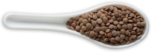 Lenticchie